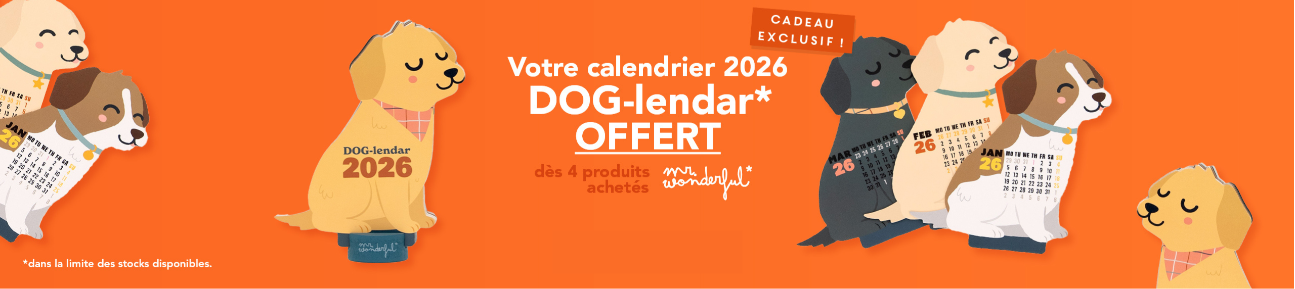 cadeau dog-lendar mr wonderful