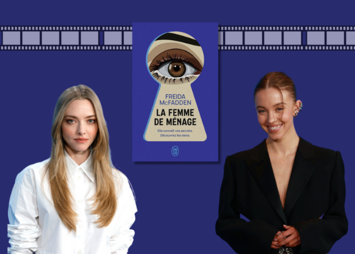 La femme de ménage : le thriller phénomène de Freida McFadden qui fascine le monde