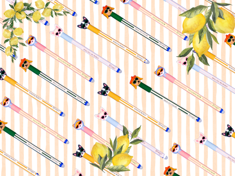 Mr Wonderful : La nouvelle collection de stylos Bobos Viva Amalfi débarque !