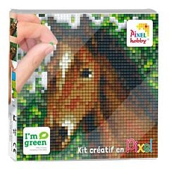 Kit créatif Tableau Cheval Pixel