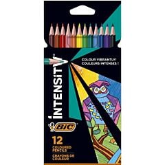Etui 12 crayons de couleur Bic Intensity 