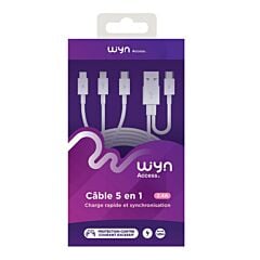 Câble 5 en 1 Apple lightning/Micro USB/Type-C Wyn