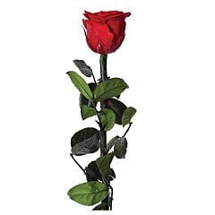 Rose artificielle sur tige 30 cm
