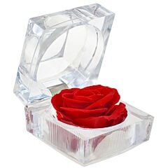 Boîte Rose éternelle rouge So Charm