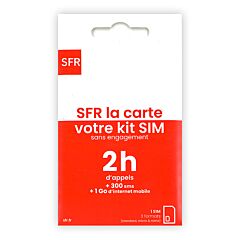 SFR carte SIM 2h 1 go