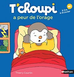 T'choupi prend l'avion - Dès 2 ans - Un livre à lire et à écouter, Thierry  Courtin