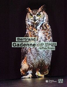 Bertrand Gadenne - Les images réfléchies