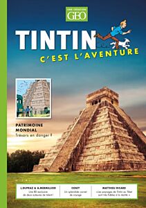 Tintin - C'est l'aventure 12