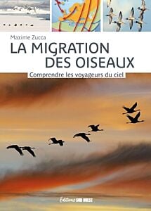 La migration des oiseaux. Comprendre les voyageurs du ciel