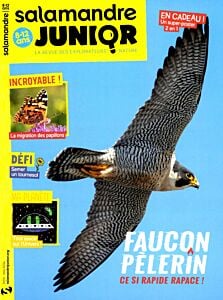 Magazine Salamandre junior, numéro 53, du 10/04/2024