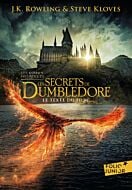 Les secrets de Dumbledore