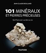 101 minéraux et pierres précieuses
