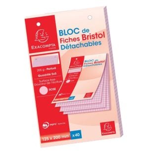 Bloc de 40 fiches bristol couleurs détachables perforées Q.5X5