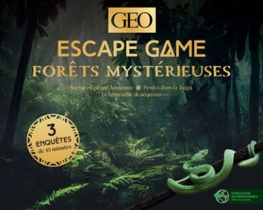 Escape Game GEO - Forêts Mystérieuses - Jeux de stratégie et de