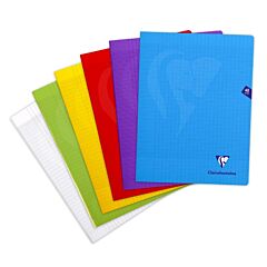 Cahier Mimesys 24 x 32 cm 48 pages Séyès Clairefontaine Coloris Aléatoire