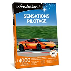 Wonderbox Sensations pilotage