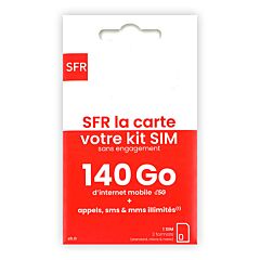 Carte SIM 140 GO sfr