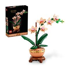 Lego Botanicals - L’orchidée miniature - Lego 10343