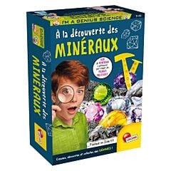 Pocket A la découverte des minéraux I'm a genius