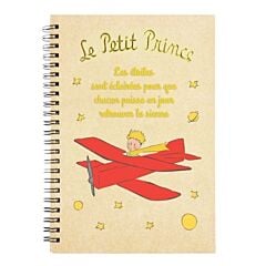 Carnet 80 pages Le petit Prince