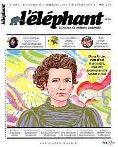 Elephant 46