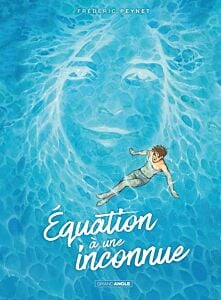 Equation à une inconnue - histoire complète