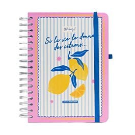 Agenda 2026 -2027 Citron power Mr Wonderful