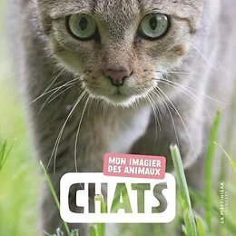 Chats