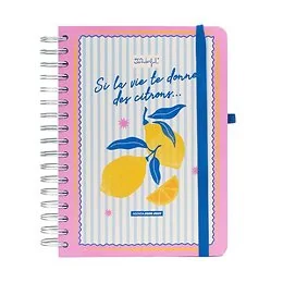 Agenda 2026 -2027 Citron power Mr Wonderful