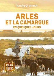 Arles et la Camargue En quelques jours 2ed