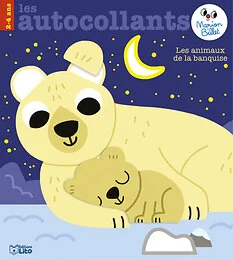 AUTO MARION BILLET BANQUISE