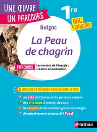 La peau de chagrin - 140
