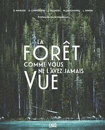 La forêt comme vous ne l'avez jamais vue !