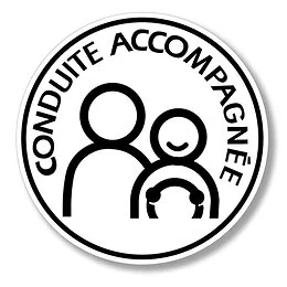 Disque électrostatique conduite accompagnée 