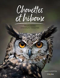 Chouettes et hiboux