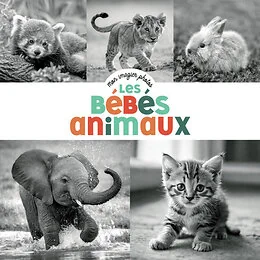 Mon imagier photos - Les bébés animaux