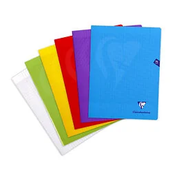 Cahier Mimesys 24 x 32 cm 96 pages Séyès Clairefontaine