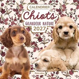 Calendrier Chiots grandeur nature 2027
