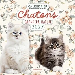 Calendrier Chatons grandeur nature 2027