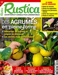 Magazine Rustica, numéro 2958, du 04/09/2026