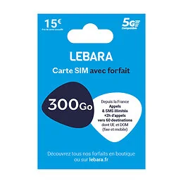 Carte Sim Appels et SMS illimités 300 Go Lebara