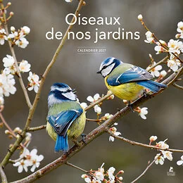 Calendrier 2027 Oiseaux de nos jardins