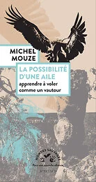La possibilité d'une aile