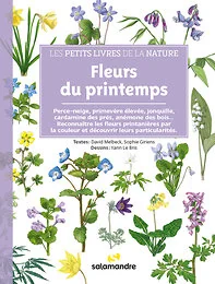 Fleurs du printemps