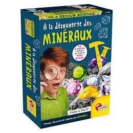 Pocket A la découverte des minéraux I'm a genius