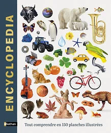 Encyclopedia - Tout comprendre en 150 planches illustrées
