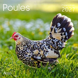CALENDRIER POULES 2027