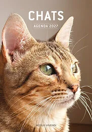 Chats - Agenda 2027