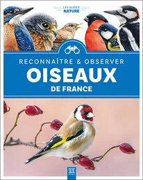 Oiseaux de France
