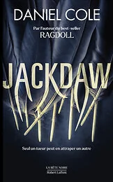 Jackdaw